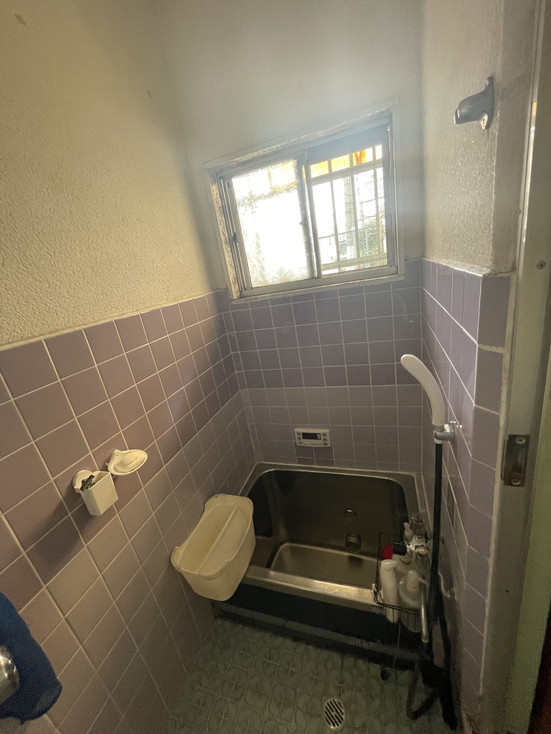 生まれ変わった家