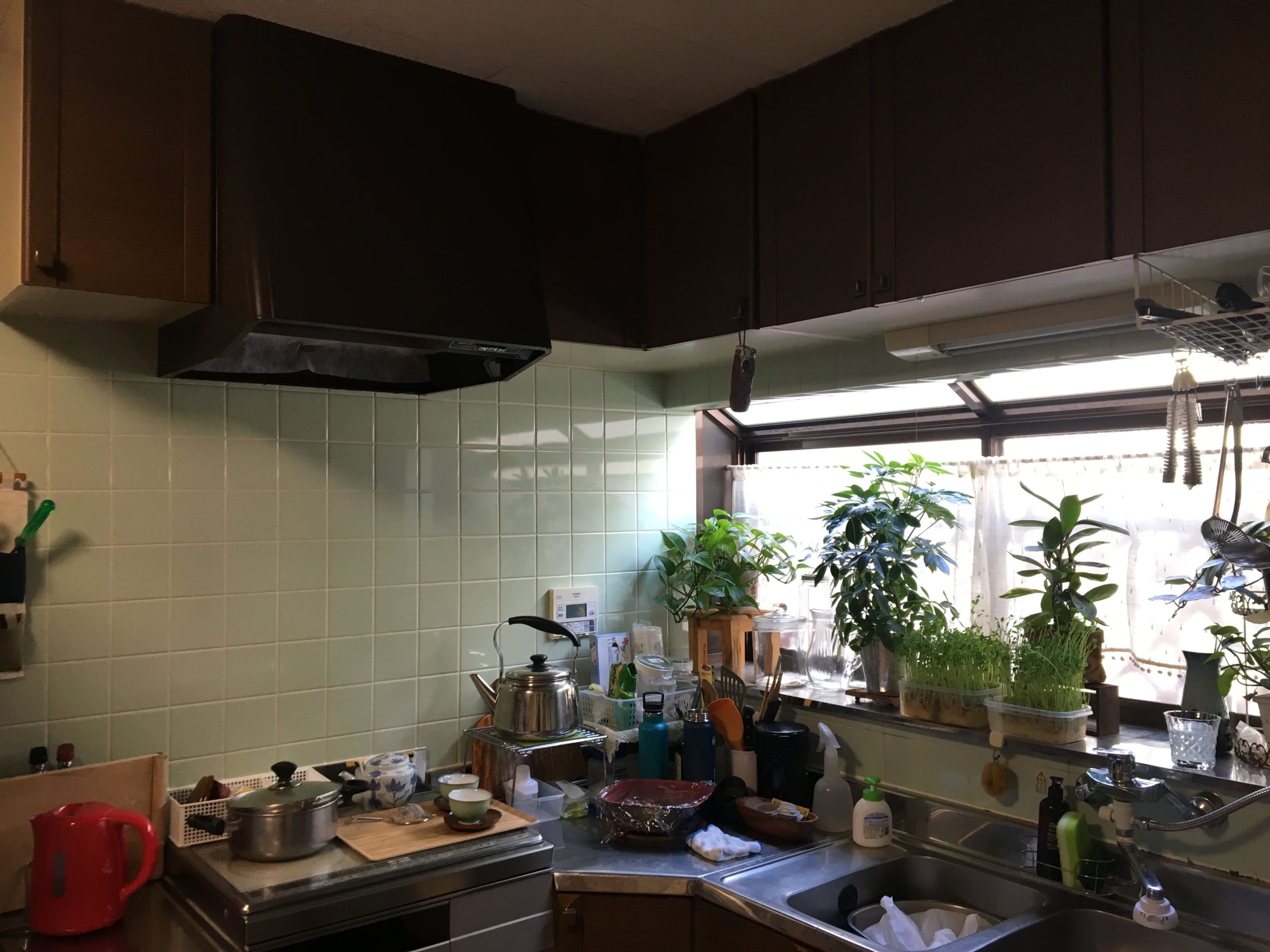 築50年 リノベーション 2間間口、縦に長ーいお家大改造